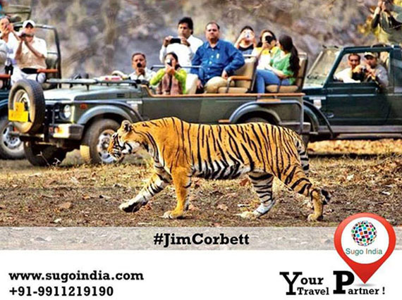 Jim Corbett national park – A complete travel Guide