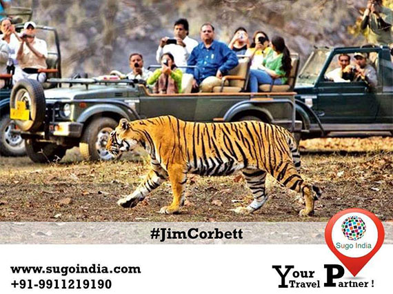 Jim Corbett national park – A complete travel Guide